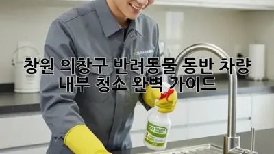 창원 의창구 반려동물 동반 차량 내부 청소 완벽 가이드