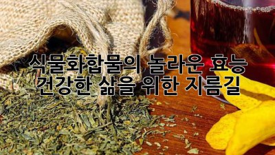 식물화합물의 놀라운 효능: 건강한 삶을 위한 지름길